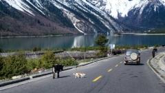 探索雪域西藏的戶外之旅：經典徒步與騎行路線全指南