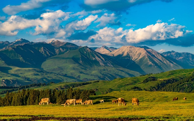 全景北疆12日遊|喀納斯・禾木・賽里木湖・獨庫公路