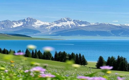 接下来的赛里木湖，才是一万次的春和景明_2_九哥户外旅游_来自小红书网页版