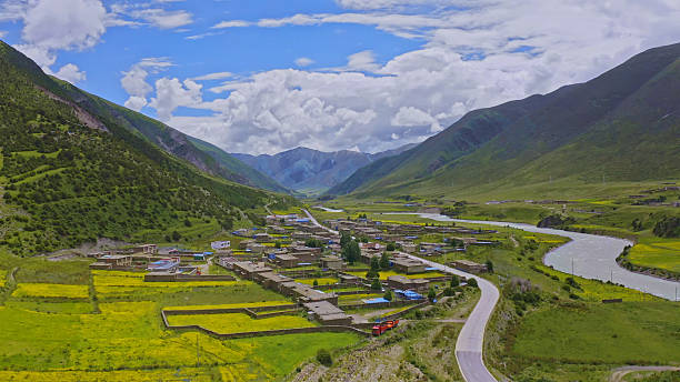 夏季的那曲草原