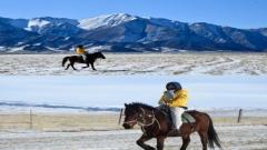 99% 的人都不知道：山丹軍馬場這樣玩，最省錢也最值