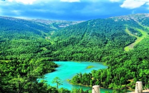 喀纳斯夏日秘境🍃｜20℃避暑天花板攻略_3_喜悦薛小凡吖_来自小红书网页版