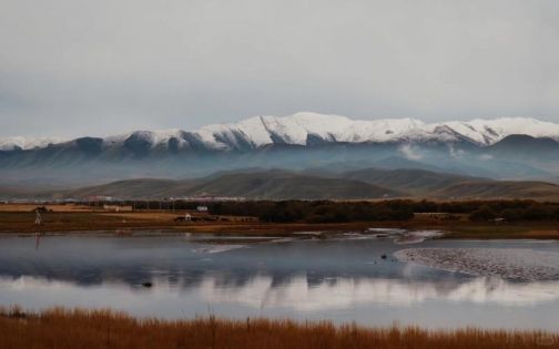 桑科草原超詳細攻略｜不收門票、不走景區，甘南最自由的草原玩法