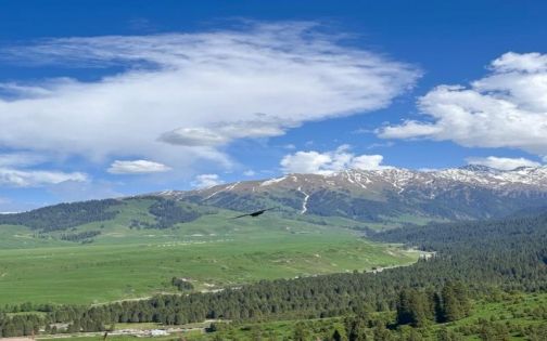 恰西草原保姆級攻略｜伊犁夏天最舒服的打開方式