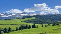 恰西草原保姆級攻略｜伊犁夏天最舒服的打開方式