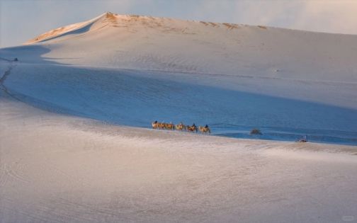 鳴沙山月牙泉超詳細攻略｜入口怎麼選？日落＋萬人星空演唱會一次玩明白