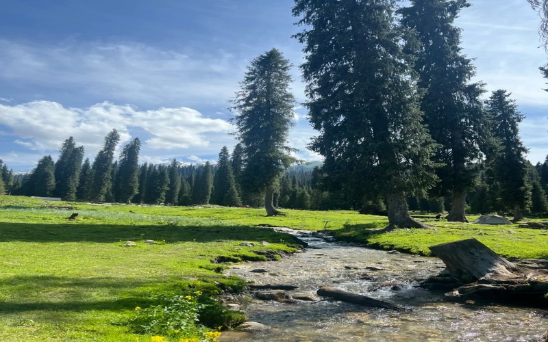 全景北疆12日遊|喀納斯・禾木・賽里木湖・獨庫公路