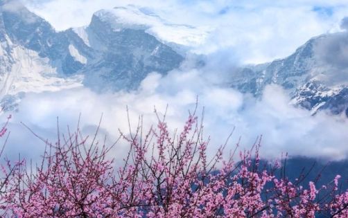 西藏4月天氣全攻略:春日進藏必看的氣候與行程指南