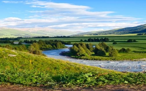 🌿 新疆隐藏彩蛋！唐布拉百里画廊美到窒_1_储天阔_来自小红书网页版