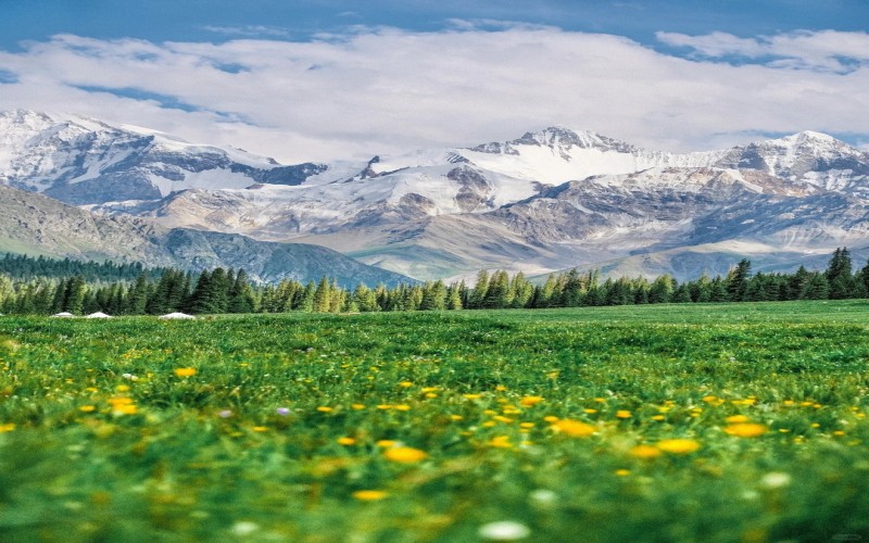 北疆夏日伊犁8日｜賽里木湖・獨庫公路・那拉提草原・夏塔秘境