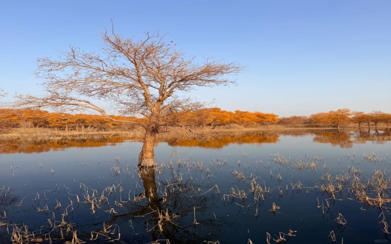 趣游南疆·頭等艙8日游｜博斯騰湖・喀什・帕米爾高原