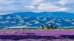 新疆全年旅遊攻略｜四季最佳時間與目的地全解析