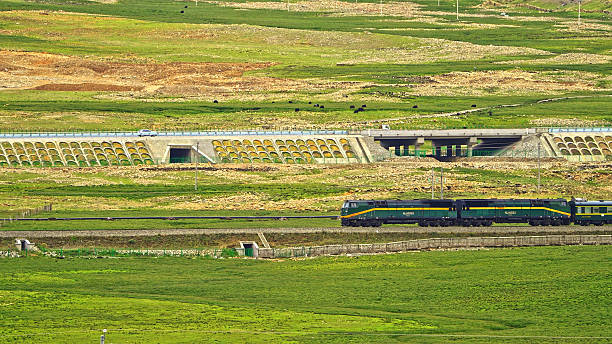Naqu–Lasa Expressway,Beijing–Lhasa Expressway,Mount Nyenchen Tanglha,Naqu,Xizang,China,Asia.Qinghai–Xizang Railway.Xizang Highway,China Expressway.Qinghai–Xizang Plateau.