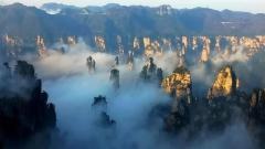 張家界8月天氣怎麼樣?盛夏旅遊前必讀指南