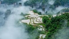 張家界最佳旅遊時間全攻略｜春秋核心玩法指南