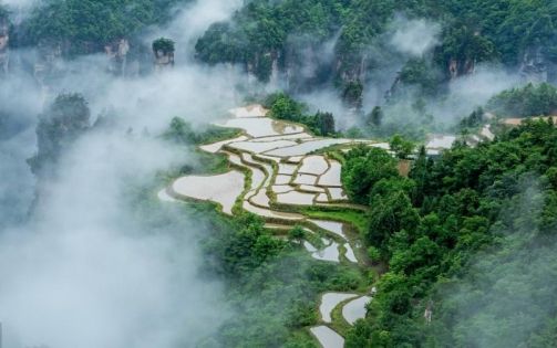 張家界最佳旅遊時間全攻略|春秋核心玩法指南