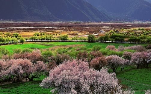 從哪個城市坐飛機去西藏好？進藏航班指南