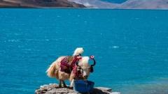 從哪個城市坐飛機去西藏好？進藏航班指南