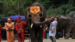 雲南西雙版納景點推薦｜解鎖傣鄉雨林之美