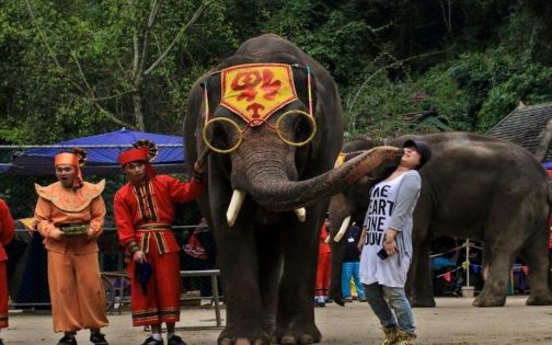 雲南西雙版納景點推薦｜解鎖傣鄉雨林之美