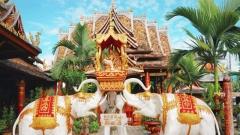 雲南西雙版納海拔攻略｜必知的海拔與旅遊指南