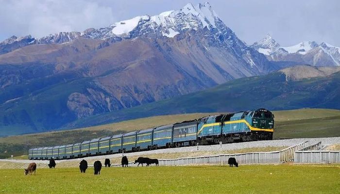 青藏鐵路風景