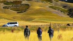 新疆旅遊包車車型推薦：按需選車暢玩南北疆