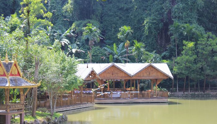 西雙版納熱帶雨林