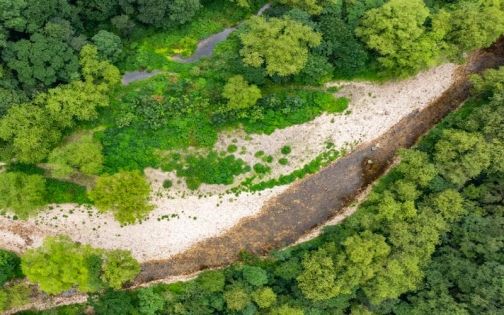 張家界4月天氣詳解｜遊玩攻略與注意事項