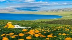 🇲🇾大馬遊新疆｜包車保姆級攻略