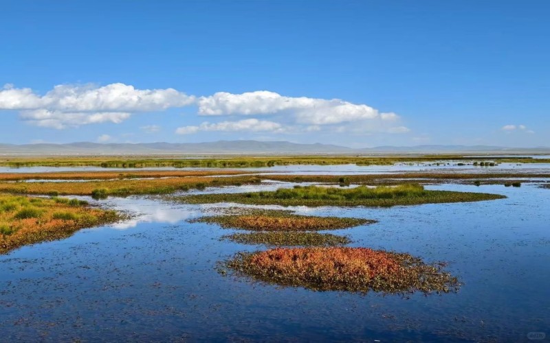 甘南秘境・拉卜楞寺・蓮寶葉則・若爾蓋・扎尕那深度9日遊