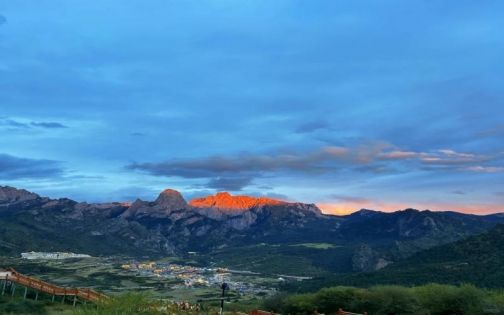 甘南最佳旅遊時間｜6月草原花海最美＋避坑指南