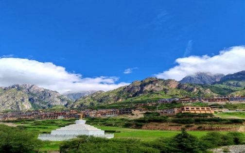 甘南最佳旅遊時間|6月草原花海最美+避坑指南