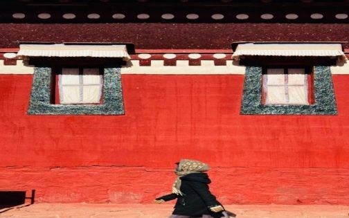 甘南最佳旅遊時間|6月草原花海最美+避坑指南