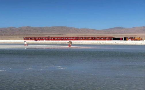 青甘大環線幾月最美?全年時間解析+避坑指南