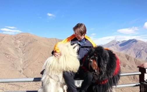 外國人去西藏有哪些限制？2026最新旅遊政策解析