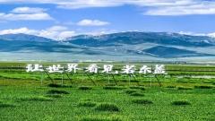 若爾蓋花湖旅遊攻略｜真正精華在最深處，不走到底真的會後悔