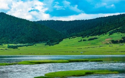 如何規劃雲南行程？新手也能輕鬆駕馭的攻略