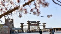 敦煌四月旅遊攻略：遇見戈壁最美春光