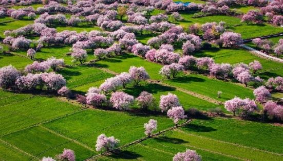 新疆伊犁杏花沟