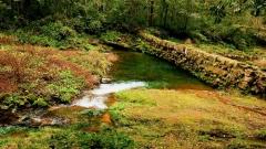 12月張家界天氣怎麼樣?冬季雪景、穿衣建議與旅遊實用指南