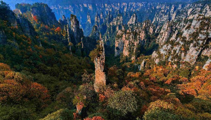 張家界天子山秋季