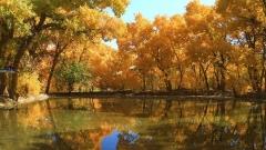 敦煌旅遊最佳季節:四季天氣分析與最佳旅遊時間選擇指南