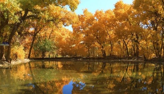 敦煌旅遊最佳季節：四季天氣分析與最佳旅遊時間選擇指南