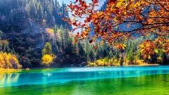 中國哪里的秋天最美？四大賞秋聖地承包動人秋色