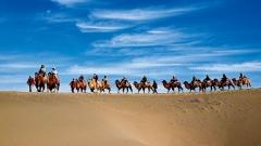 敦煌10月旅遊全攻略:天氣、費用與最佳遊玩時間