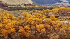 敦煌9月旅遊:天氣、景點、門票、費用與實用攻略全解析