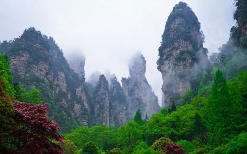 張家界3月旅遊全攻略 - 春染峰林赴仙境之約