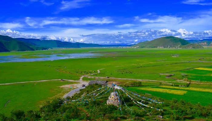 香格里拉納帕海依拉草原