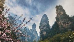 张家界4月旅游攻略|春染峰林赴仙境之约